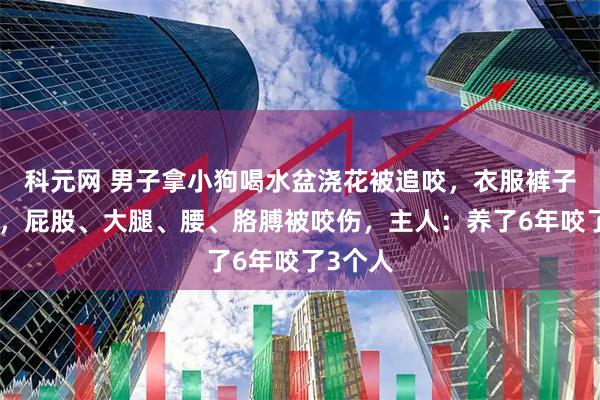 科元网 男子拿小狗喝水盆浇花被追咬，衣服裤子都破了，屁股、大腿、腰、胳膊被咬伤，主人：养了6年咬了3个人